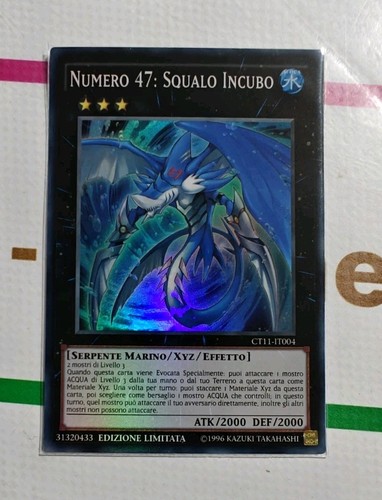 Numero squalo incubo - squalo,
